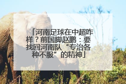 河南足球在中超咋样？前国脚赵鹏：要找回河南队“专治各种不服”的精神