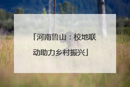 河南鲁山：校地联动助力乡村振兴