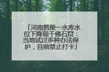 河南鹤壁一水库水位下降现千佛石窟：当地试过多种办法保护，目前禁止打卡