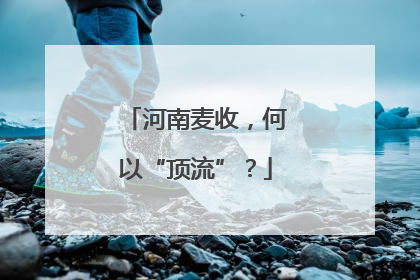 河南麦收，何以“顶流”？