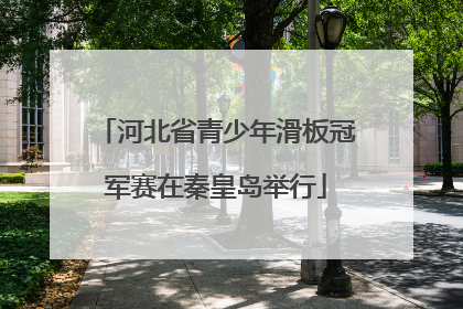 河北省青少年滑板冠军赛在秦皇岛举行