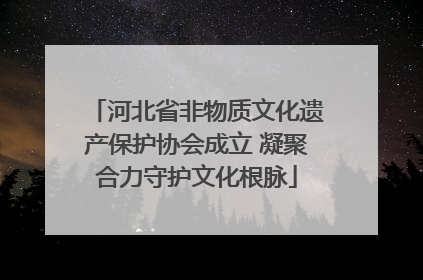河北省非物质文化遗产保护协会成立 凝聚合力守护文化根脉
