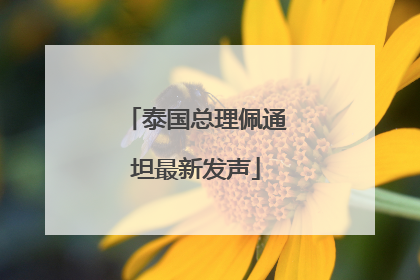 泰国总理佩通坦最新发声