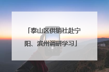 泰山区供销社赴宁阳、滨州调研学习