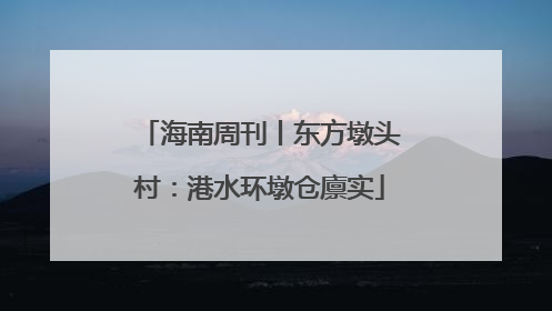 海南周刊丨东方墩头村：港水环墩仓廪实