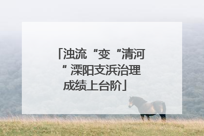 浊流“变“清河“ 溧阳支浜治理成绩上台阶
