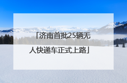 济南首批25辆无人快递车正式上路