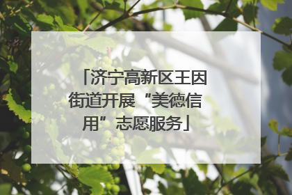 济宁高新区王因街道开展“美德信用”志愿服务