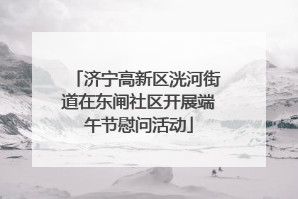 济宁高新区洸河街道在东闸社区开展端午节慰问活动