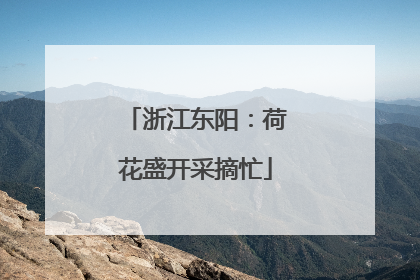 浙江东阳：荷花盛开采摘忙