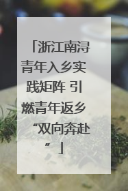 浙江南浔青年入乡实践矩阵 引燃青年返乡“双向奔赴”