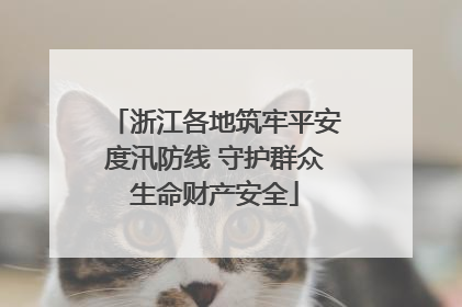 浙江各地筑牢平安度汛防线 守护群众生命财产安全