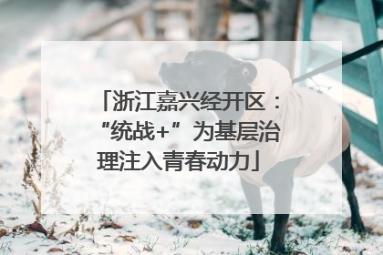 浙江嘉兴经开区：“统战+”为基层治理注入青春动力