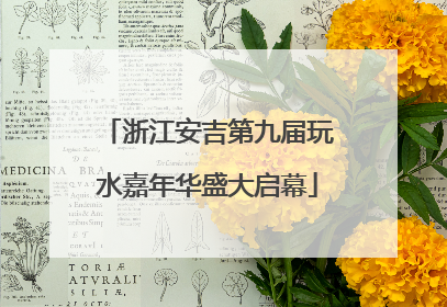 浙江安吉第九届玩水嘉年华盛大启幕