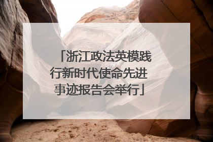 浙江政法英模践行新时代使命先进事迹报告会举行