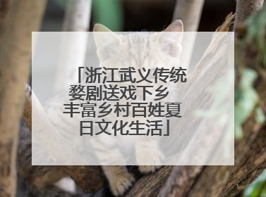 浙江武义传统婺剧送戏下乡 丰富乡村百姓夏日文化生活