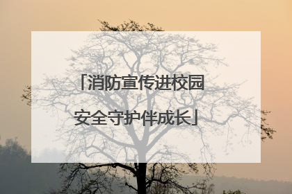 消防宣传进校园 安全守护伴成长