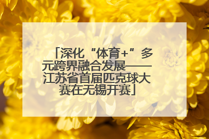 深化“体育+”多元跨界融合发展——江苏省首届匹克球大赛在无锡开赛