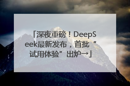 深夜重磅！DeepSeek最新发布，首批“试用体验”出炉→
