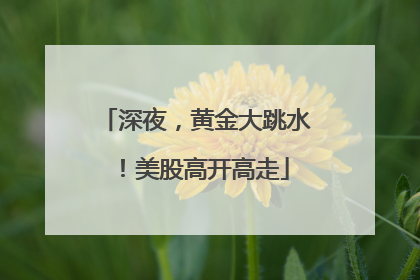 深夜，黄金大跳水！美股高开高走