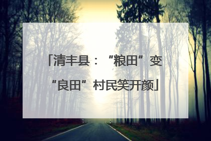 清丰县：“粮田”变“良田”村民笑开颜