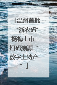 温州首批“浙农码”杨梅上市 扫码溯源“数字土特产”