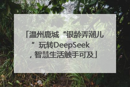 温州鹿城“银龄弄潮儿”玩转DeepSeek，智慧生活触手可及