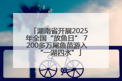 湖南省开展2025年全国“放鱼日” 7200多万尾鱼苗游入“一湖四水”
