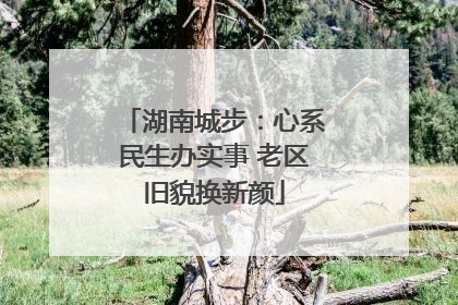 湖南城步：心系民生办实事 老区旧貌换新颜