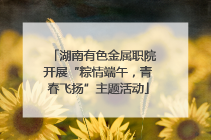 湖南有色金属职院开展“粽情端午，青春飞扬”主题活动