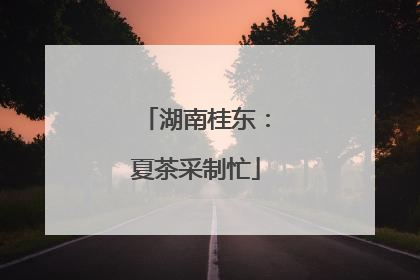 湖南桂东：夏茶采制忙