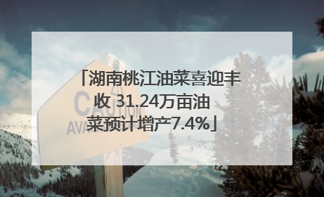 湖南桃江油菜喜迎丰收 31.24万亩油菜预计增产7.4%