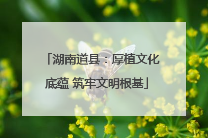 湖南道县：厚植文化底蕴 筑牢文明根基
