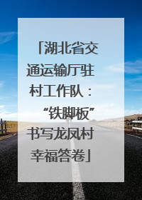 湖北省交通运输厅驻村工作队：“铁脚板”书写龙凤村幸福答卷