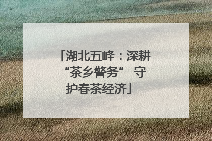 湖北五峰：深耕“茶乡警务” 守护春茶经济