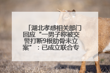 湖北孝感相关部门回应“一男子称被交警打断9根肋骨未立案”：已成立联合专班开展工作