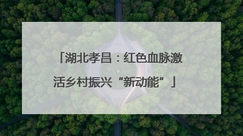 湖北孝昌：红色血脉激活乡村振兴“新动能”