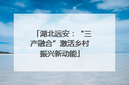 湖北远安：“三产融合”激活乡村振兴新动能