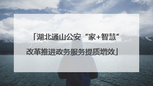 湖北通山公安“家+智慧”改革推进政务服务提质增效