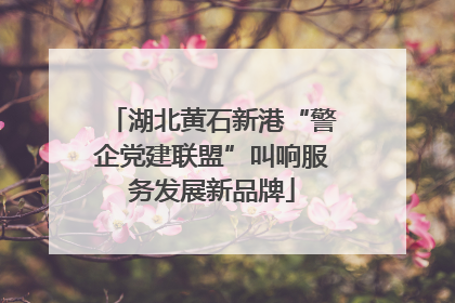 湖北黄石新港“警企党建联盟”叫响服务发展新品牌