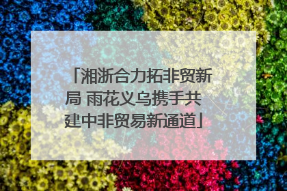 湘浙合力拓非贸新局 雨花义乌携手共建中非贸易新通道