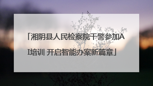 湘阴县人民检察院干警参加AI培训 开启智能办案新篇章