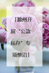 滁州开展“公款私存”专项整治