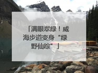 满眼翠绿！威海步道变身“绿野仙踪”