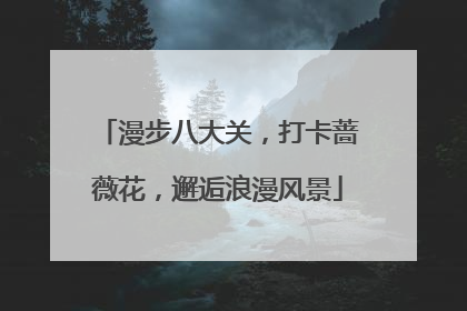 漫步八大关，打卡蔷薇花，邂逅浪漫风景