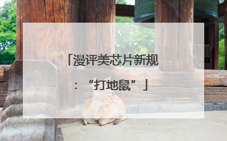 漫评美芯片新规：“打地鼠”