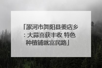 漯河市舞阳县姜店乡：大蒜喜获丰收 特色种植铺就富民路