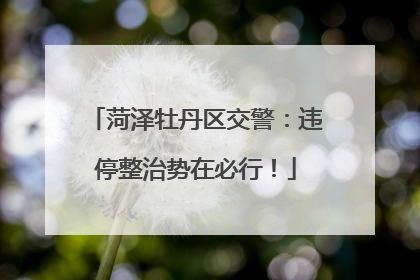 菏泽牡丹区交警：违停整治势在必行！
