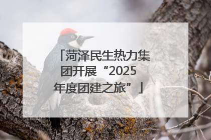 菏泽民生热力集团开展“2025年度团建之旅”