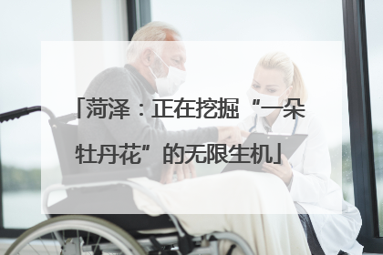 菏泽：正在挖掘“一朵牡丹花”的无限生机